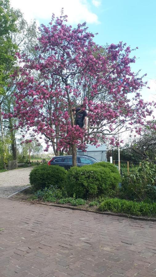 Gastenverblijf 'T Oelengoor Sinderen Esterno foto